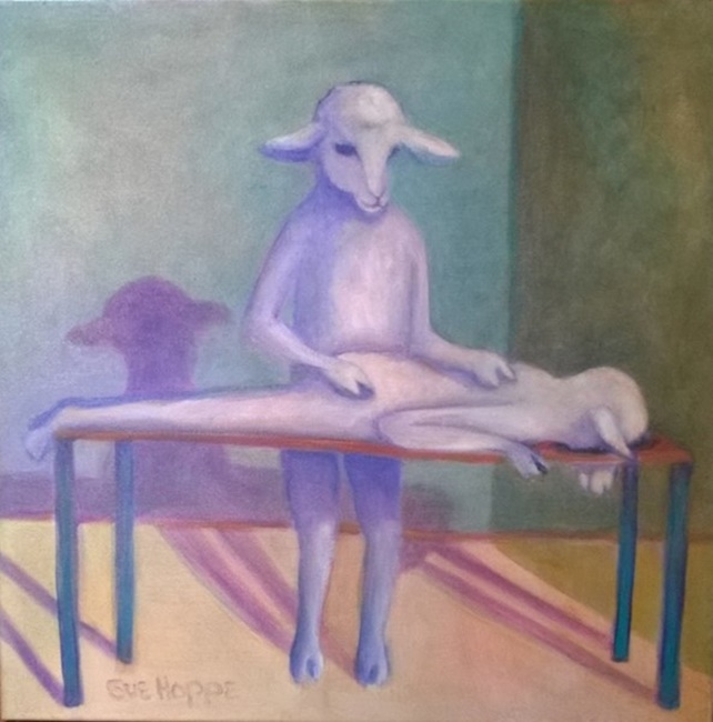 sheep getting a massage